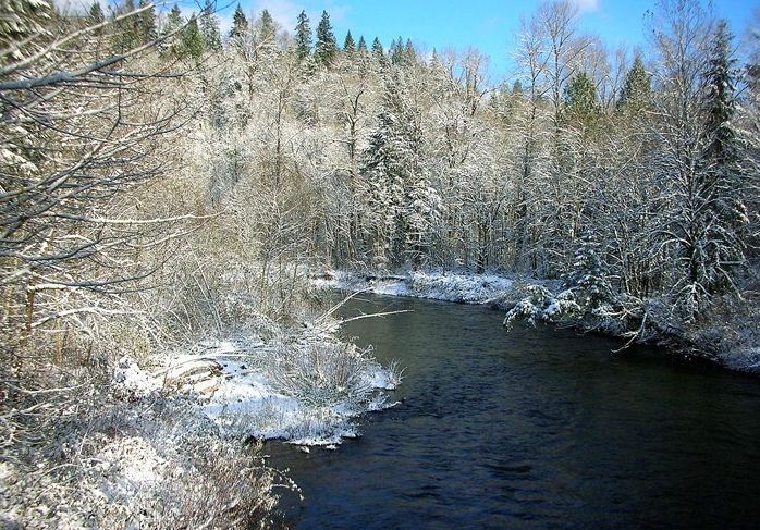 Cedar River trail in winter